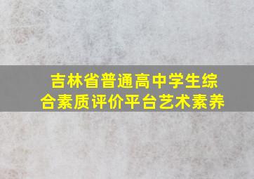 吉林省普通高中学生综合素质评价平台艺术素养