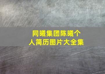 同曦集团陈曦个人简历图片大全集