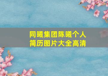 同曦集团陈曦个人简历图片大全高清