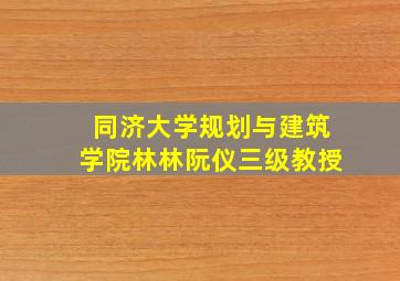 同济大学规划与建筑学院林林阮仪三级教授