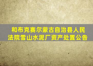 和布克赛尔蒙古自治县人民法院雪山水泥厂资产处置公告