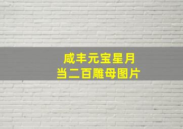 咸丰元宝星月当二百雕母图片