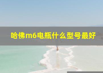 哈佛m6电瓶什么型号最好