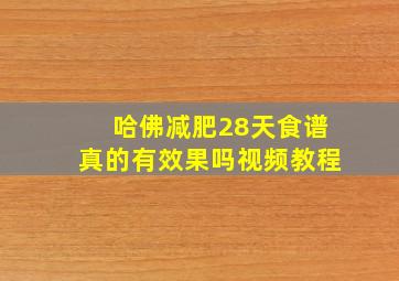 哈佛减肥28天食谱真的有效果吗视频教程