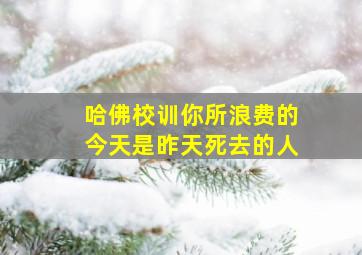 哈佛校训你所浪费的今天是昨天死去的人