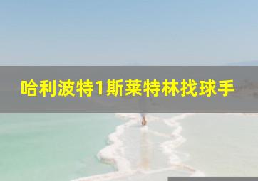 哈利波特1斯莱特林找球手