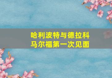 哈利波特与德拉科马尔福第一次见面