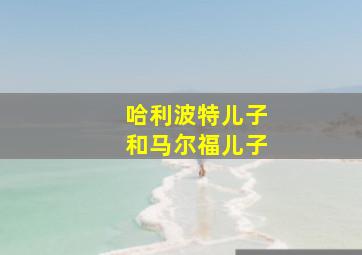 哈利波特儿子和马尔福儿子