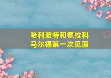 哈利波特和德拉科马尔福第一次见面