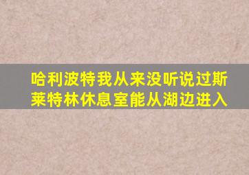 哈利波特我从来没听说过斯莱特林休息室能从湖边进入