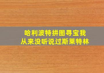 哈利波特拼图寻宝我从来没听说过斯莱特林