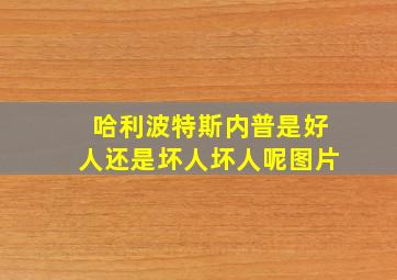 哈利波特斯内普是好人还是坏人坏人呢图片