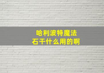 哈利波特魔法石干什么用的啊