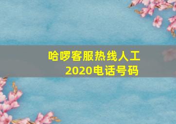 哈啰客服热线人工2020电话号码