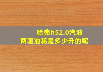 哈弗h52.0汽油两驱油耗是多少升的呢