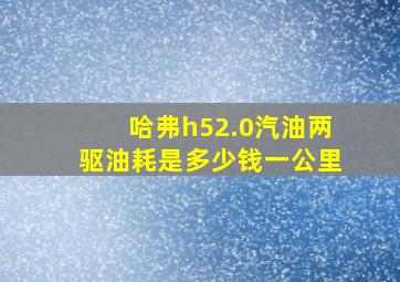 哈弗h52.0汽油两驱油耗是多少钱一公里