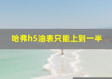 哈弗h5油表只能上到一半