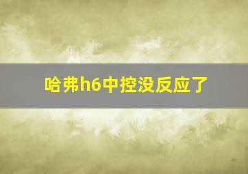 哈弗h6中控没反应了