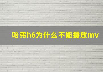 哈弗h6为什么不能播放mv