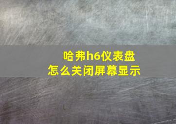 哈弗h6仪表盘怎么关闭屏幕显示