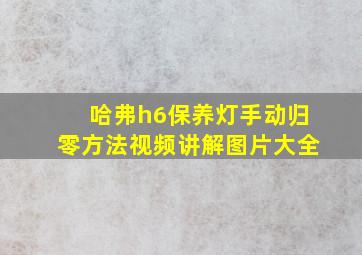 哈弗h6保养灯手动归零方法视频讲解图片大全