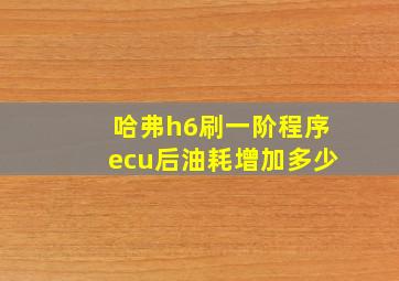 哈弗h6刷一阶程序ecu后油耗增加多少