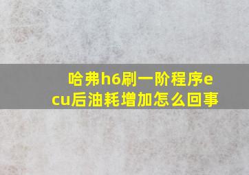 哈弗h6刷一阶程序ecu后油耗增加怎么回事