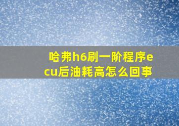 哈弗h6刷一阶程序ecu后油耗高怎么回事