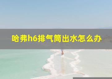 哈弗h6排气筒出水怎么办