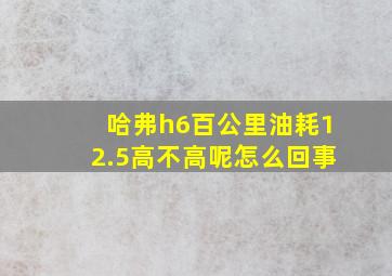 哈弗h6百公里油耗12.5高不高呢怎么回事