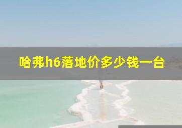 哈弗h6落地价多少钱一台