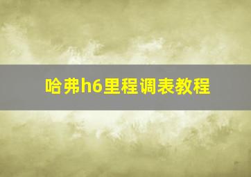 哈弗h6里程调表教程