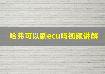 哈弗可以刷ecu吗视频讲解