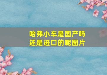 哈弗小车是国产吗还是进口的呢图片