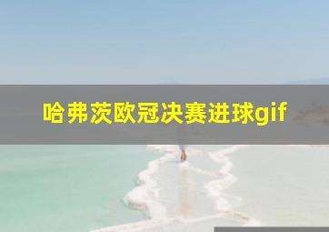 哈弗茨欧冠决赛进球gif