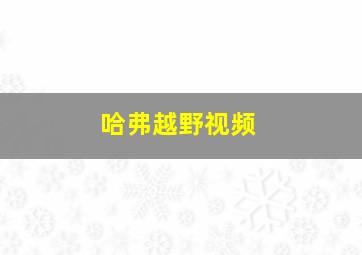 哈弗越野视频