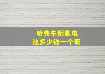 哈弗车钥匙电池多少钱一个啊