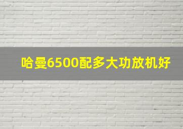 哈曼6500配多大功放机好