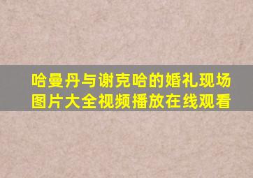 哈曼丹与谢克哈的婚礼现场图片大全视频播放在线观看