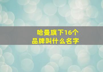 哈曼旗下16个品牌叫什么名字