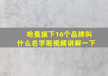 哈曼旗下16个品牌叫什么名字呢视频讲解一下