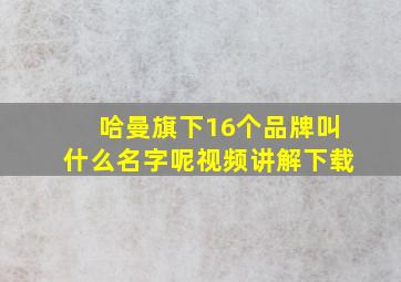 哈曼旗下16个品牌叫什么名字呢视频讲解下载