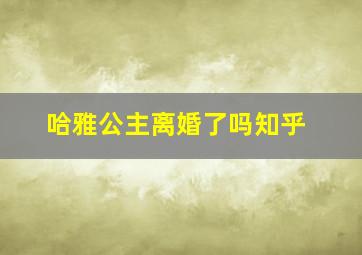 哈雅公主离婚了吗知乎