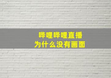 哔哩哔哩直播为什么没有画面