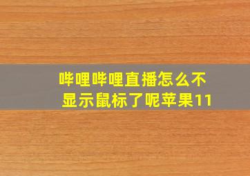 哔哩哔哩直播怎么不显示鼠标了呢苹果11