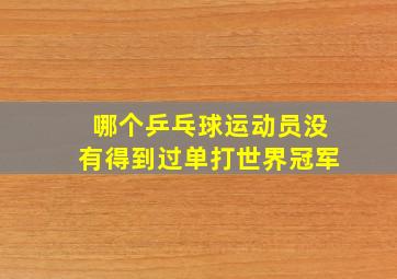 哪个乒乓球运动员没有得到过单打世界冠军