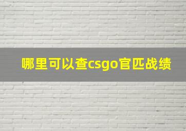 哪里可以查csgo官匹战绩