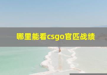 哪里能看csgo官匹战绩