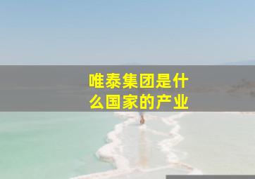 唯泰集团是什么国家的产业