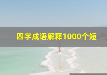 四字成语解释1000个短